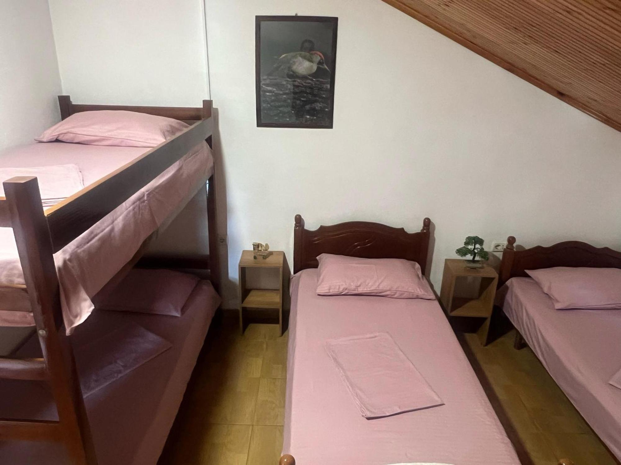Happy Corner Guest House Shkodër Extérieur photo