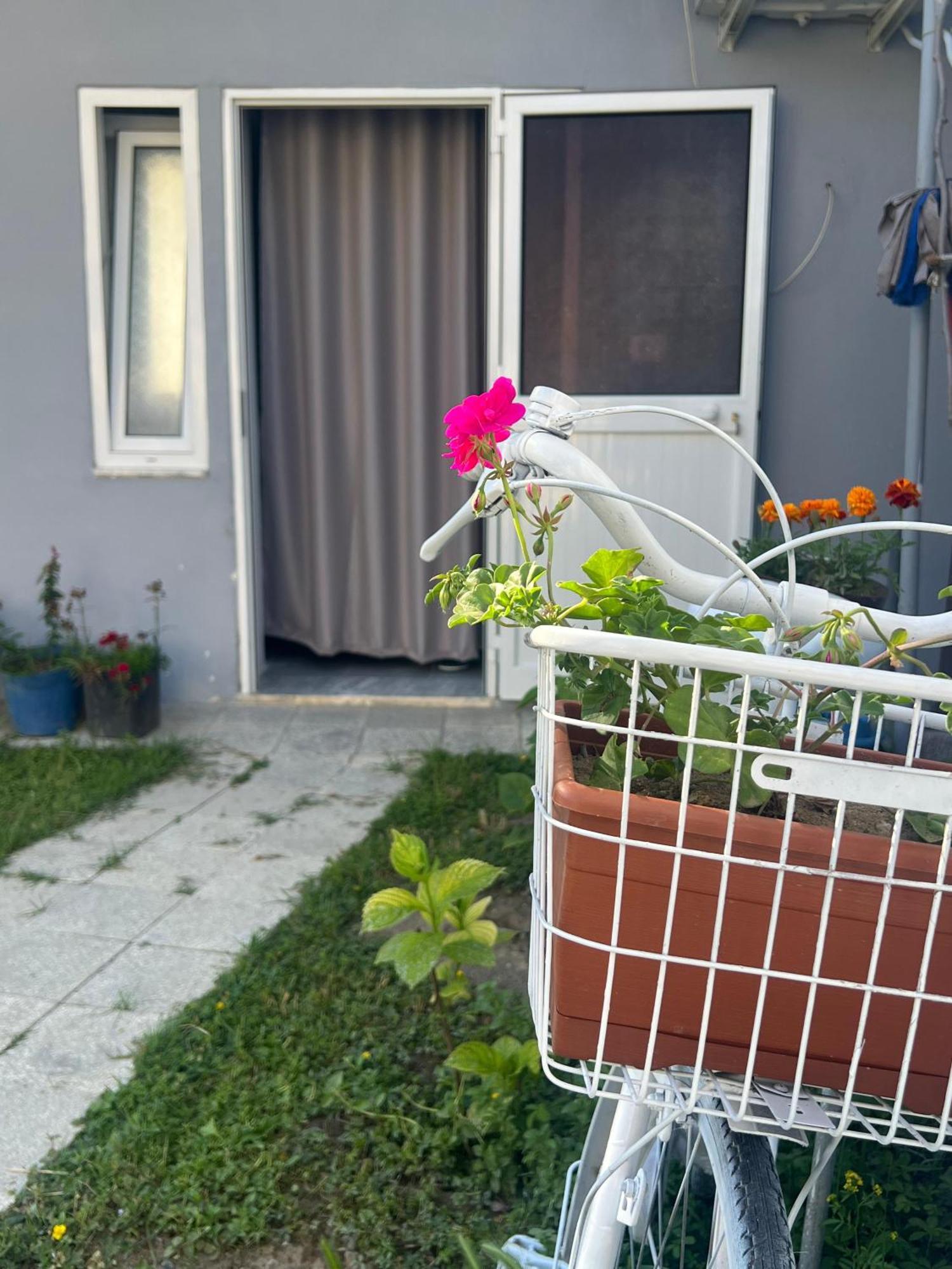 Happy Corner Guest House Shkodër Extérieur photo